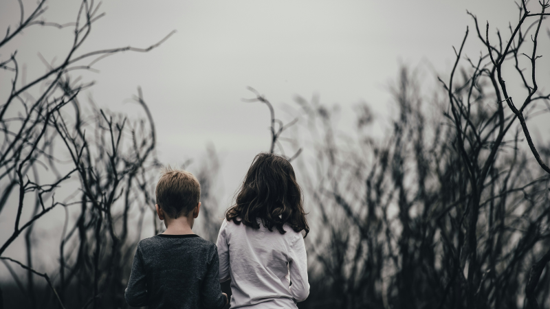 Two children near dormant trees